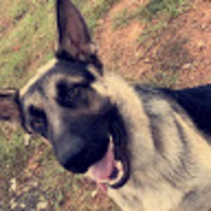 Meet your Posher, Christa